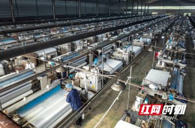 零陵区黄田铺镇 多元产业发展驱动强镇建设，货物进出口动能充沛